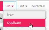 Duplicate